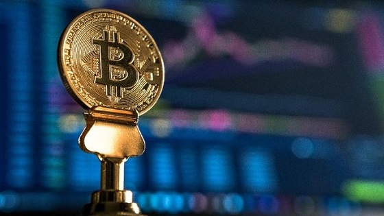 Kelas Online Investasi Bitcoin Murah | Crypstocks