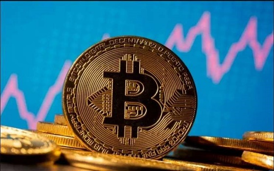 Mengenal Istilah Bull Run Bitcoin Dalam Cryptocurrency | Crypstocks